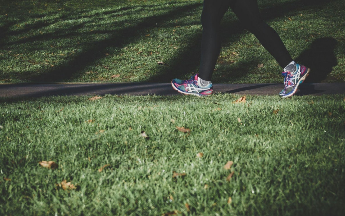 Screenshot 2026-02-23 161834.png